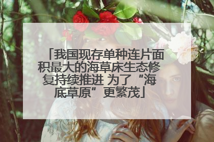 我国现存单种连片面积最大的海草床生态修复持续推进 为了“海底草原”更繁茂