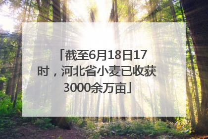 截至6月18日17时，河北省小麦已收获3000余万亩