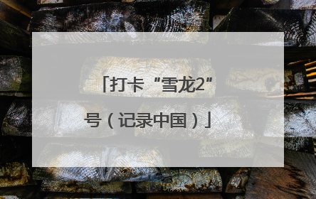 打卡“雪龙2”号（记录中国）