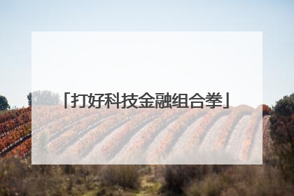 打好科技金融组合拳