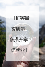 扩容量提质量 多措并举促就业