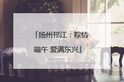 扬州邗江：粽情端午 爱满东兴