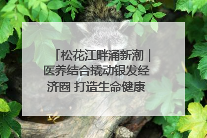 松花江畔涌新潮｜医养结合撬动银发经济圈 打造生命健康产业新样本