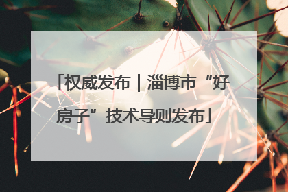 权威发布｜淄博市“好房子”技术导则发布