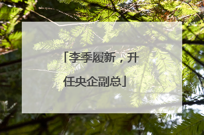 李季履新，升任央企副总