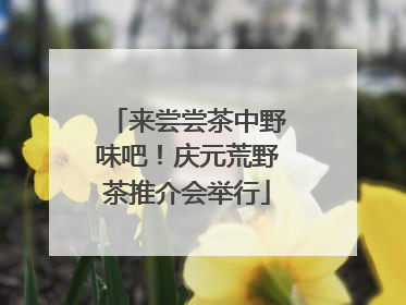 来尝尝茶中野味吧！庆元荒野茶推介会举行