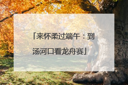 来怀柔过端午：到汤河口看龙舟赛