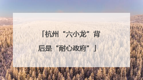 杭州“六小龙”背后是“耐心政府”