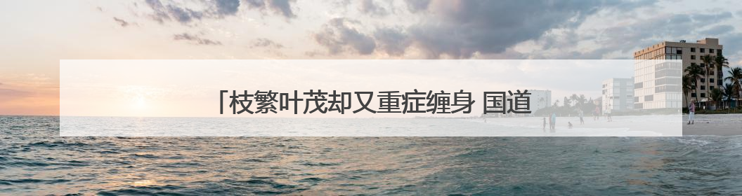 枝繁叶茂却又重症缠身 国道上白杨树树大招风“排危”忙