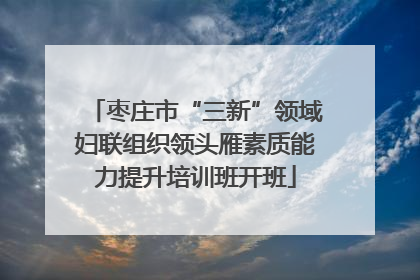 枣庄市“三新”领域妇联组织领头雁素质能力提升培训班开班