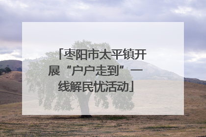 枣阳市太平镇开展“户户走到”一线解民忧活动