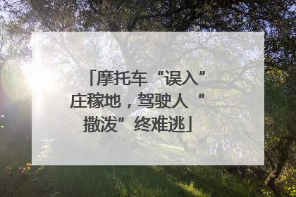 摩托车“误入”庄稼地，驾驶人“撒泼”终难逃