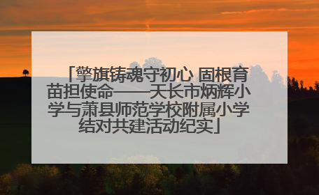 擎旗铸魂守初心 固根育苗担使命——天长市炳辉小学与萧县师范学校附属小学结对共建活动纪实