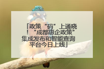 政策“码”上通晓！“成都惠企政策”集成发布和智能查询平台今日上线