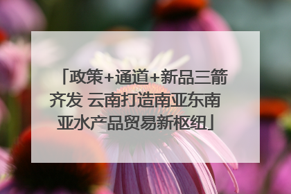 政策+通道+新品三箭齐发 云南打造南亚东南亚水产品贸易新枢纽
