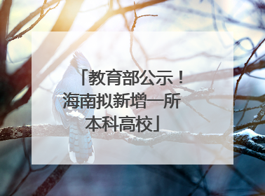 教育部公示！海南拟新增一所本科高校