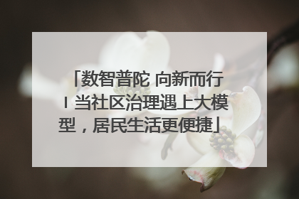 数智普陀 向新而行〡当社区治理遇上大模型，居民生活更便捷