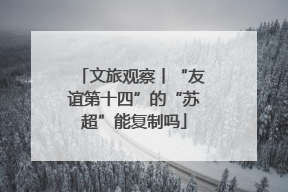 文旅观察丨“友谊第十四”的“苏超”能复制吗