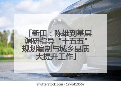 新田：陈雄到基层调研指导“十五五”规划编制与城乡品质大提升工作