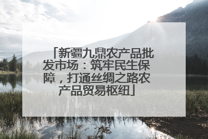 新疆九鼎农产品批发市场：筑牢民生保障，打通丝绸之路农产品贸易枢纽