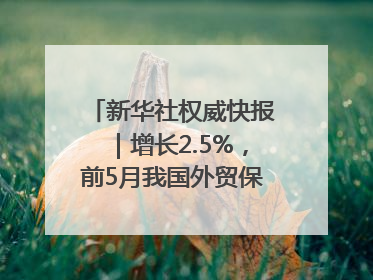 新华社权威快报｜增长2.5%，前5月我国外贸保持较强韧性