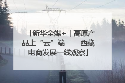 新华全媒+｜高原产品上“云”端——西藏电商发展一线观察