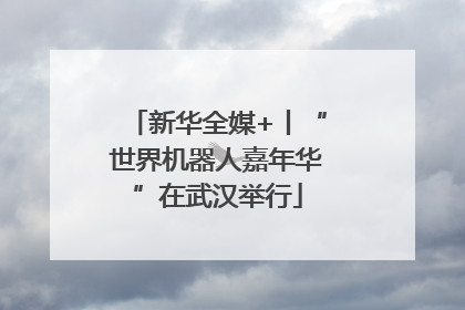 新华全媒+丨“世界机器人嘉年华”在武汉举行