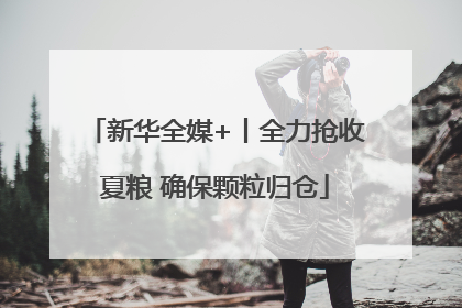新华全媒+丨全力抢收夏粮 确保颗粒归仓
