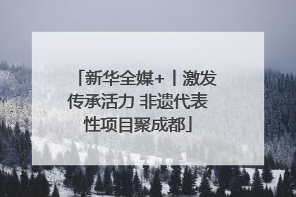 新华全媒+丨激发传承活力 非遗代表性项目聚成都