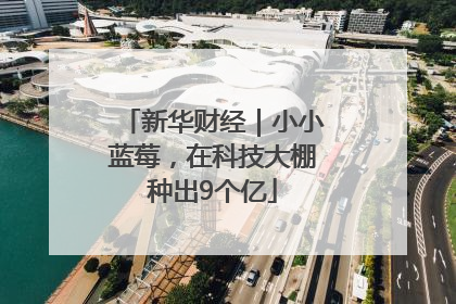 新华财经｜小小蓝莓，在科技大棚种出9个亿
