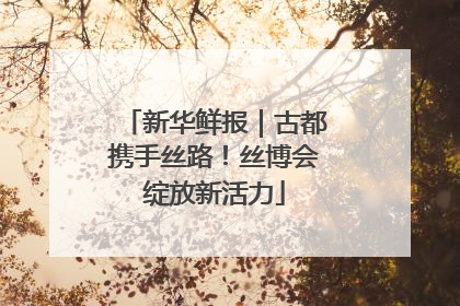 新华鲜报｜古都携手丝路！丝博会绽放新活力