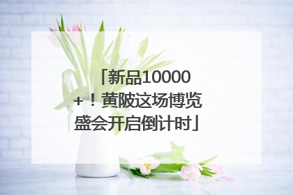 新品10000+！黄陂这场博览盛会开启倒计时
