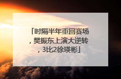 时隔半年重回赛场，樊振东上演大逆转，3比2徐瑛彬