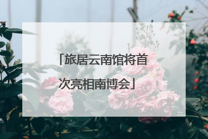 旅居云南馆将首次亮相南博会