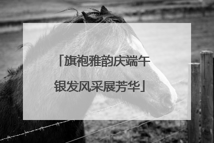 旗袍雅韵庆端午 银发风采展芳华