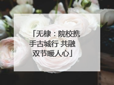 无棣：院校携手古城行 共融双节暖人心