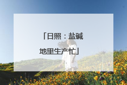 日照：盐碱地里生产忙