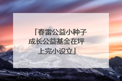 春雷公益小种子成长公益基金在坪上完小设立