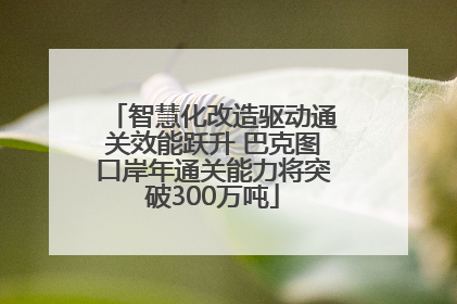 智慧化改造驱动通关效能跃升 巴克图口岸年通关能力将突破300万吨