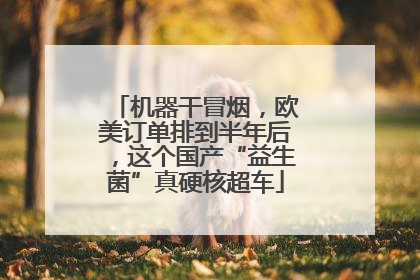 机器干冒烟，欧美订单排到半年后，这个国产“益生菌”真硬核超车