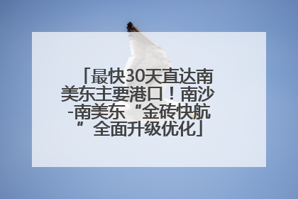 最快30天直达南美东主要港口！南沙-南美东“金砖快航”全面升级优化