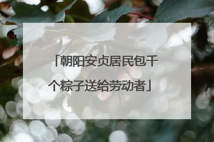 朝阳安贞居民包千个粽子送给劳动者