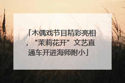 木偶戏节目精彩亮相，“茉莉花开”文艺直通车开进海师附小