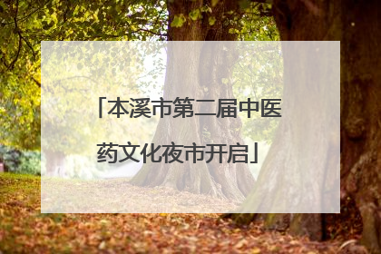 本溪市第二届中医药文化夜市开启