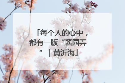 每个人的心中，都有一版“酱园弄”｜黄沂海