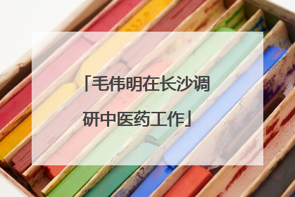 毛伟明在长沙调研中医药工作