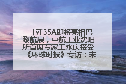 歼35A即将亮相巴黎航展，中航工业沈阳所首席专家王永庆接受《环球时报》专访：未来数量可以有很多