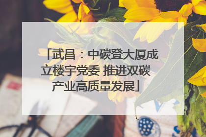 武昌：中碳登大厦成立楼宇党委 推进双碳产业高质量发展