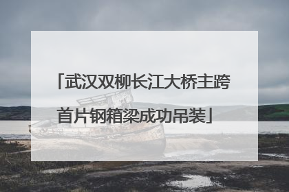 武汉双柳长江大桥主跨首片钢箱梁成功吊装