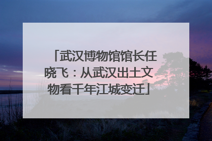 武汉博物馆馆长任晓飞：从武汉出土文物看千年江城变迁